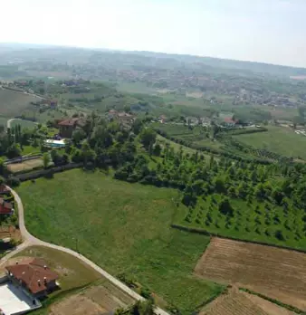 Foto annuncio 47