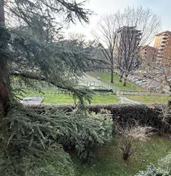Foto annuncio 109