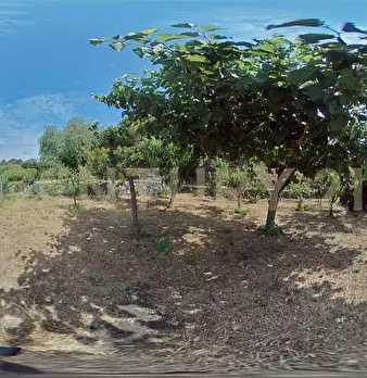 Foto annuncio 95