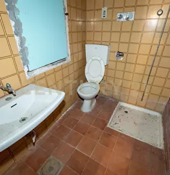 Foto annuncio 54