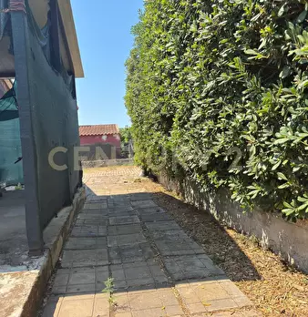 Foto annuncio 26