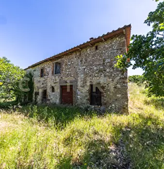Foto annuncio 18
