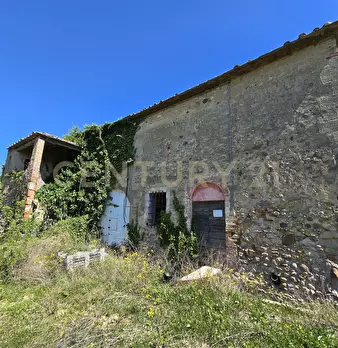Foto annuncio 42
