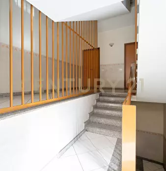 Foto annuncio 11