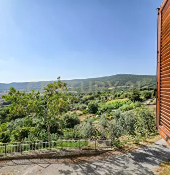 Foto annuncio 18