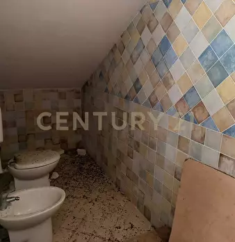 Foto annuncio 17