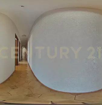 Foto annuncio 52