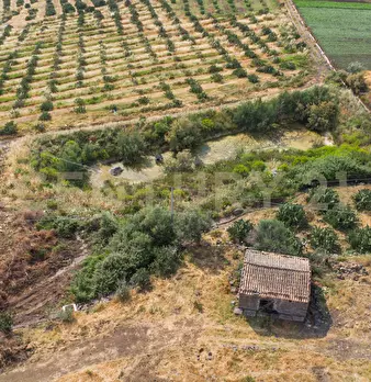 Foto annuncio 15