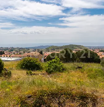 Foto annuncio 63