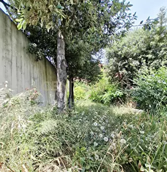 Foto annuncio 11