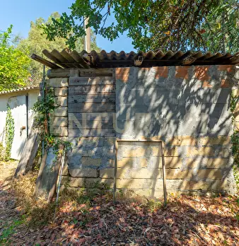 Foto annuncio 40