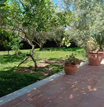 Foto annuncio 27