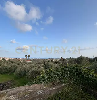 Foto annuncio 14