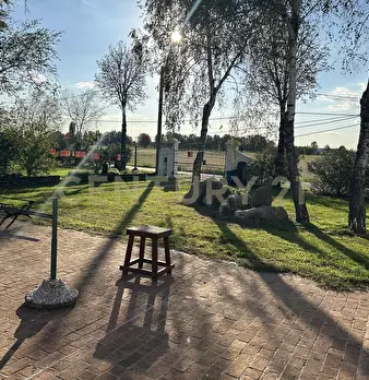 Foto annuncio 53