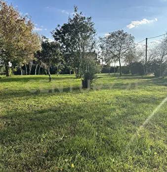 Foto annuncio 58