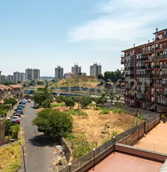 Foto annuncio 39