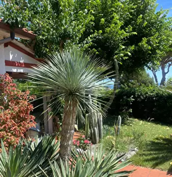Foto annuncio 7