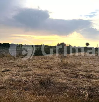 Foto annuncio 17