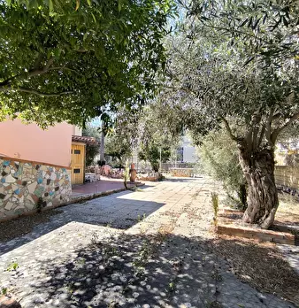 Foto annuncio 7
