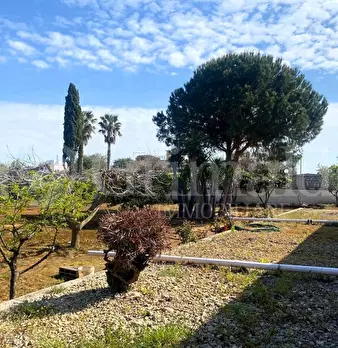 Foto annuncio 17