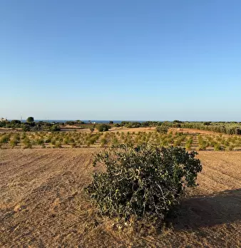 Foto annuncio 17
