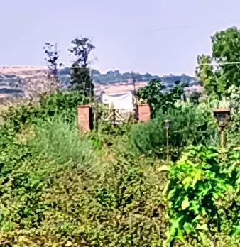 Foto annuncio 29