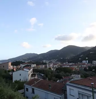 Foto annuncio 28