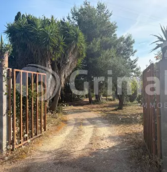 Foto annuncio 4