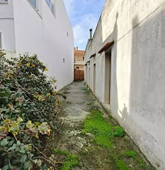 Foto annuncio 7