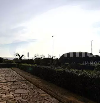 Foto annuncio 42