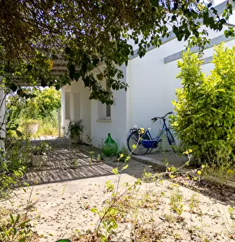 Foto annuncio 52