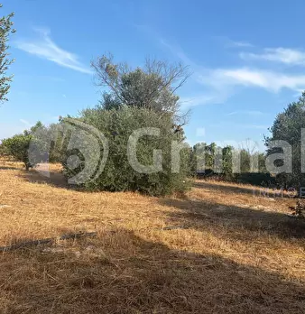 Foto annuncio 23