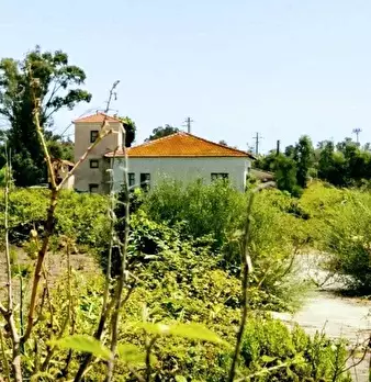 Foto annuncio 30