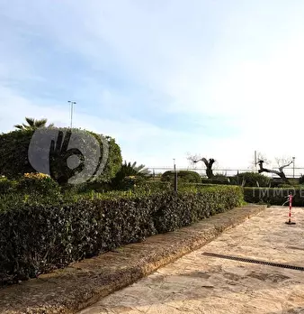 Foto annuncio 41