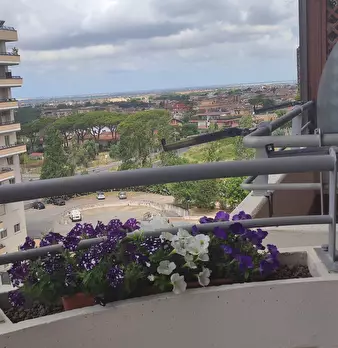 Foto annuncio 41
