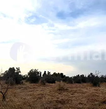 Foto annuncio 12