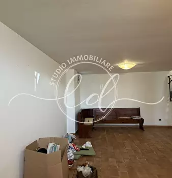 Foto annuncio 74