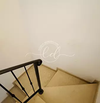 Foto annuncio 53