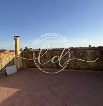 Foto annuncio 61