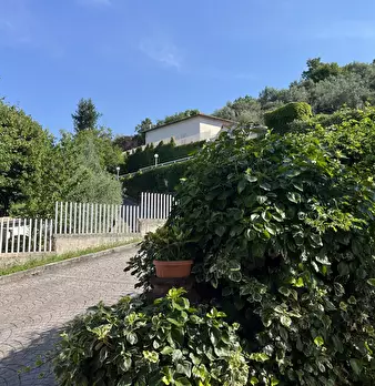 Foto annuncio 36