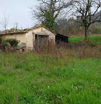 Foto annuncio 6