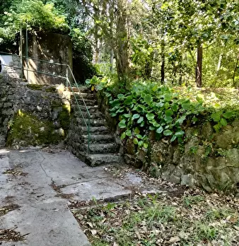 Foto annuncio 6