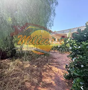 Foto annuncio 20