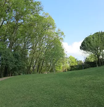 Foto annuncio 23