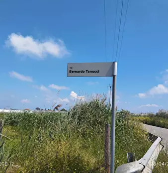 Foto annuncio 8