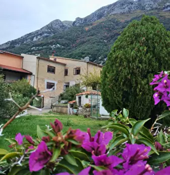 Foto annuncio 3