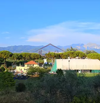 Foto annuncio 51