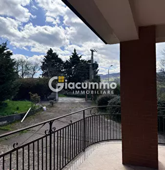Foto annuncio 14
