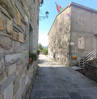 Foto annuncio 37