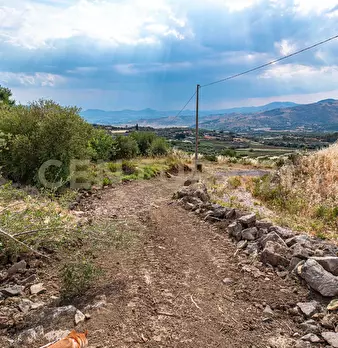 Foto annuncio 54